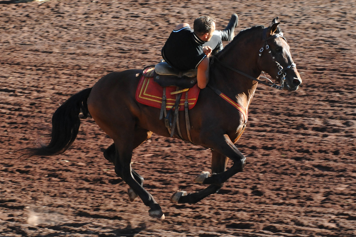 Nikon D300S sample photo. Acrobatics on horseback photography