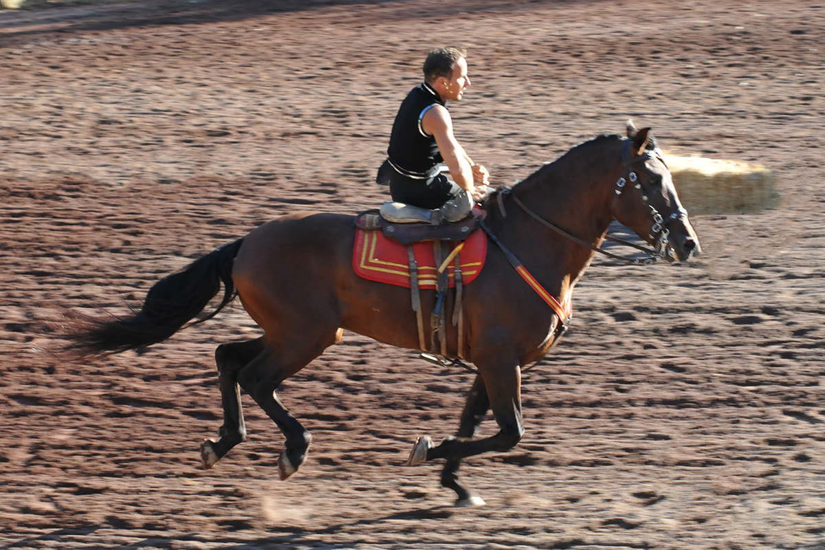 Nikon D300S sample photo. Acrobatics on horseback photography