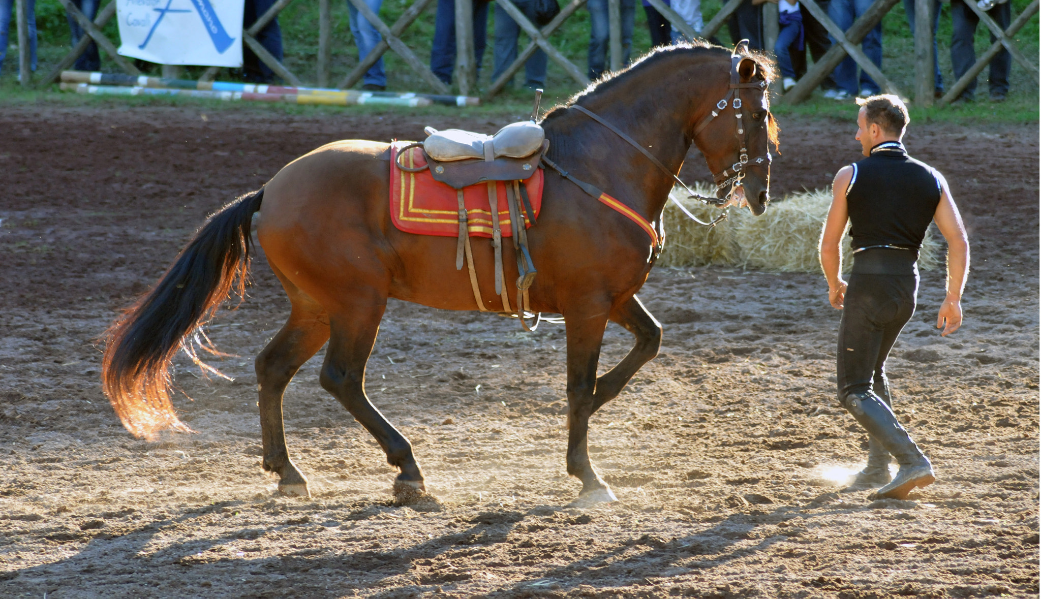 Nikon D300S sample photo. Acrobatics on horseback photography