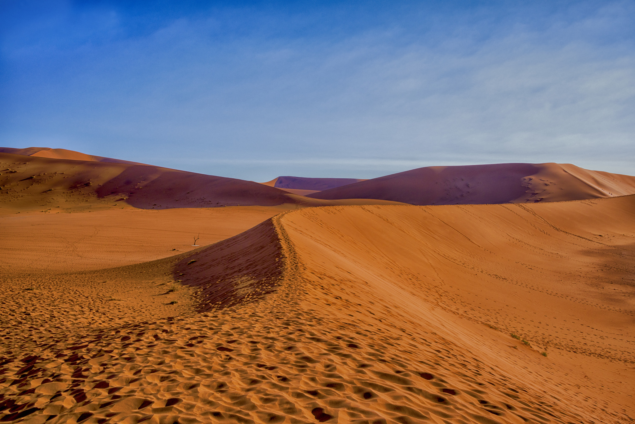 Nikon D810 sample photo. The great namib desert (namibia) photography