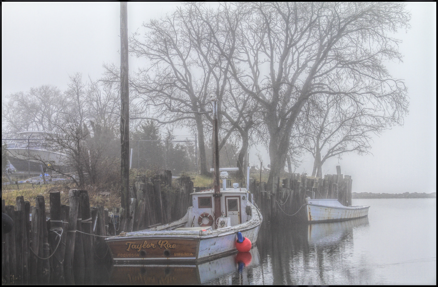 Canon EF 28-135mm F3.5-5.6 IS USM sample photo. Red float in the fog photography