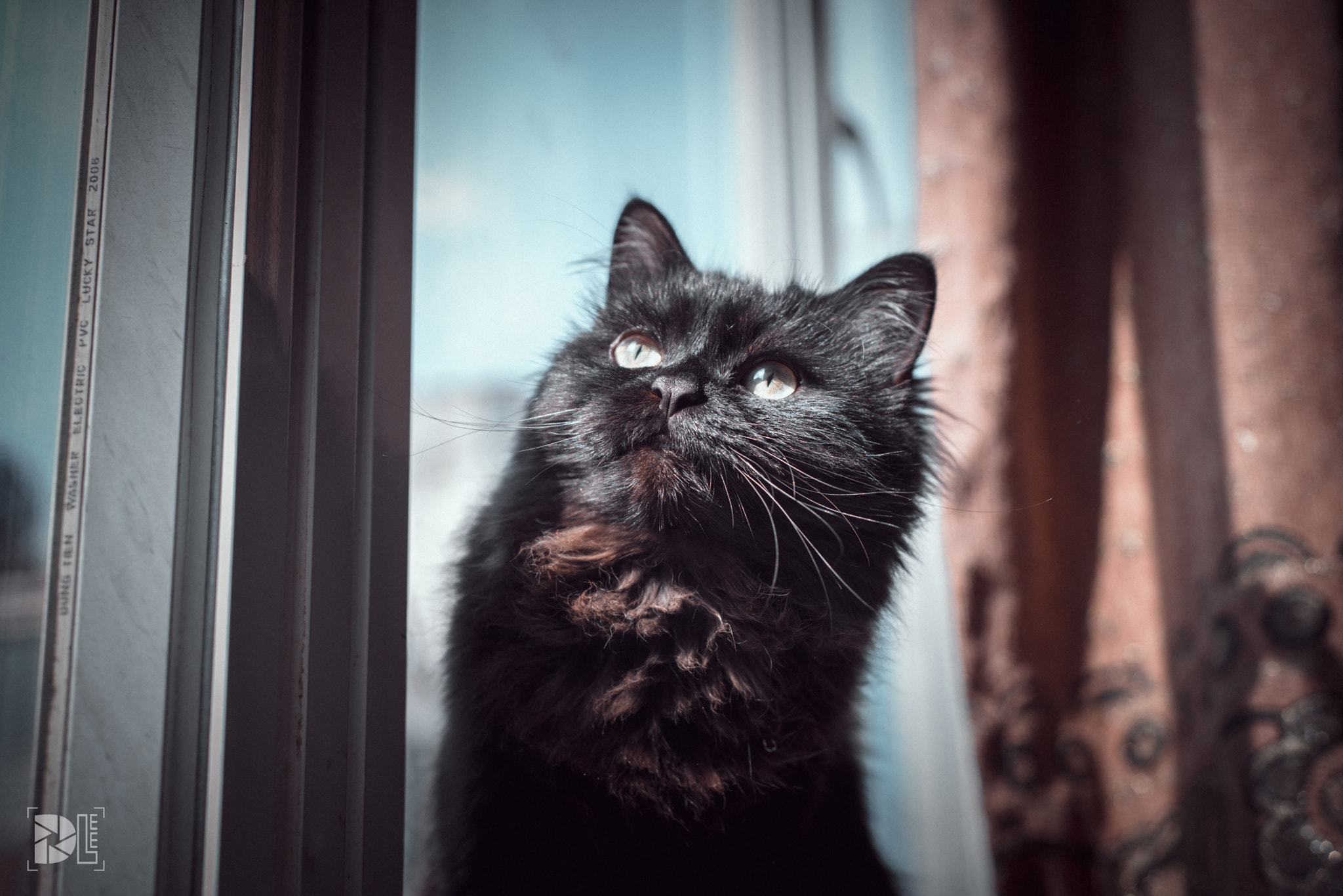 Nikon D750 + Nikon AF Nikkor 50mm F1.8D sample photo. Dreamer photography