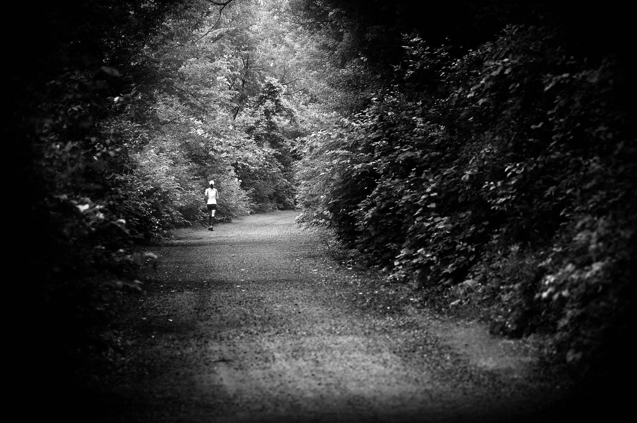 Nikon D5000 sample photo. Into the unknown photography
