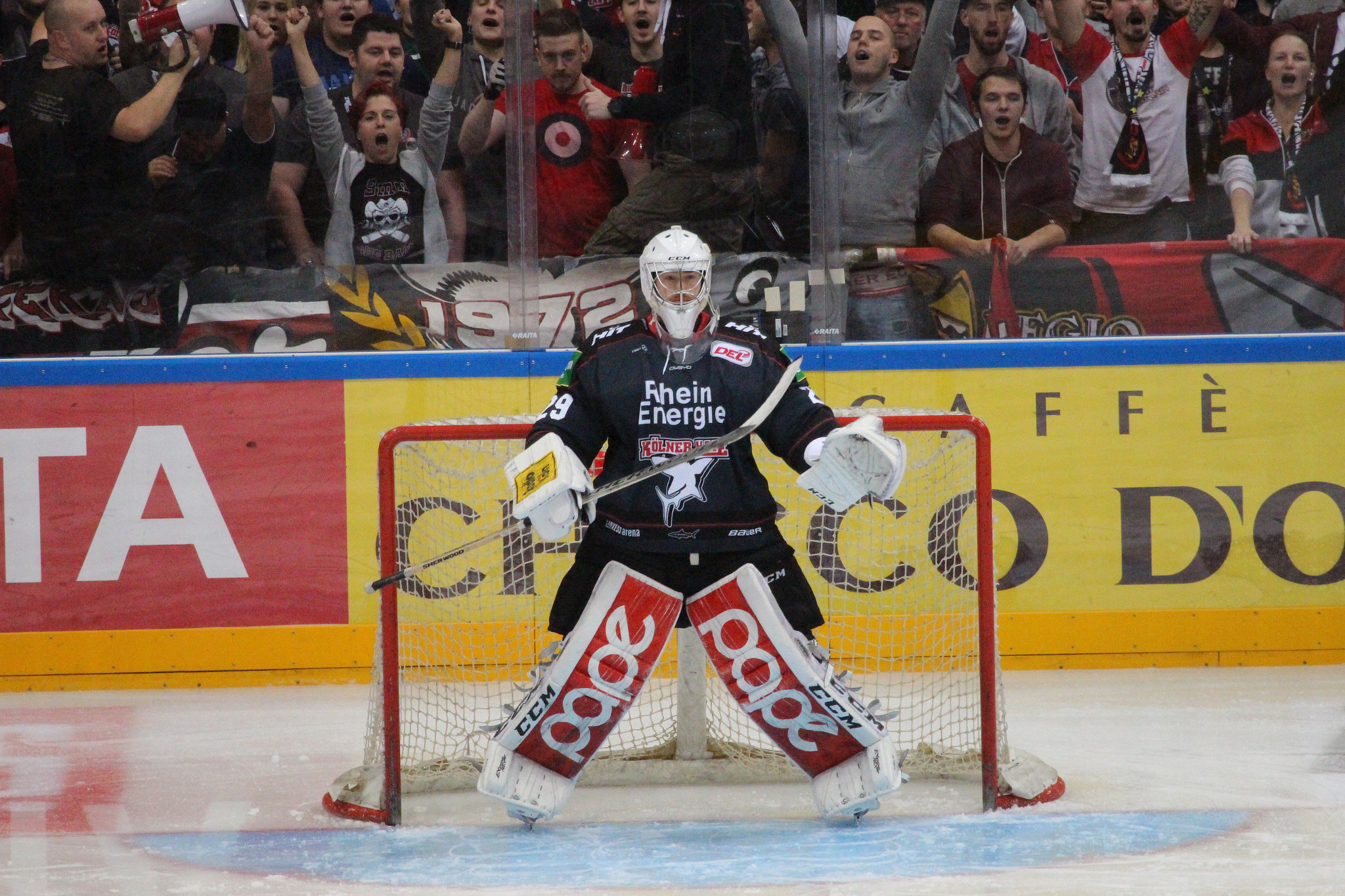 Canon EF 100-400mm F4.5-5.6L IS USM sample photo. Goalie wesslau photography