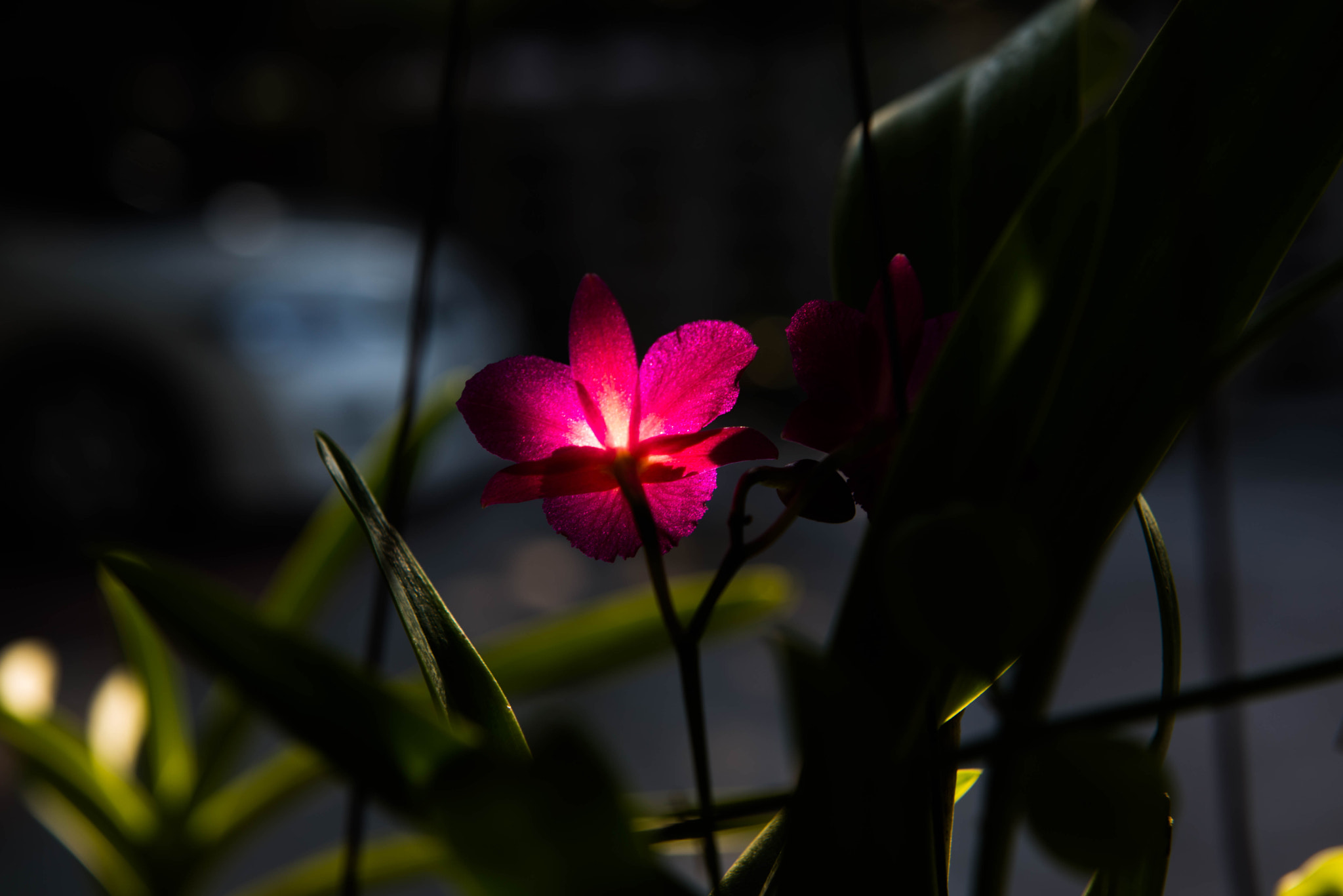 Nikon AF-S Nikkor 24-70mm F2.8G ED sample photo. Light photography