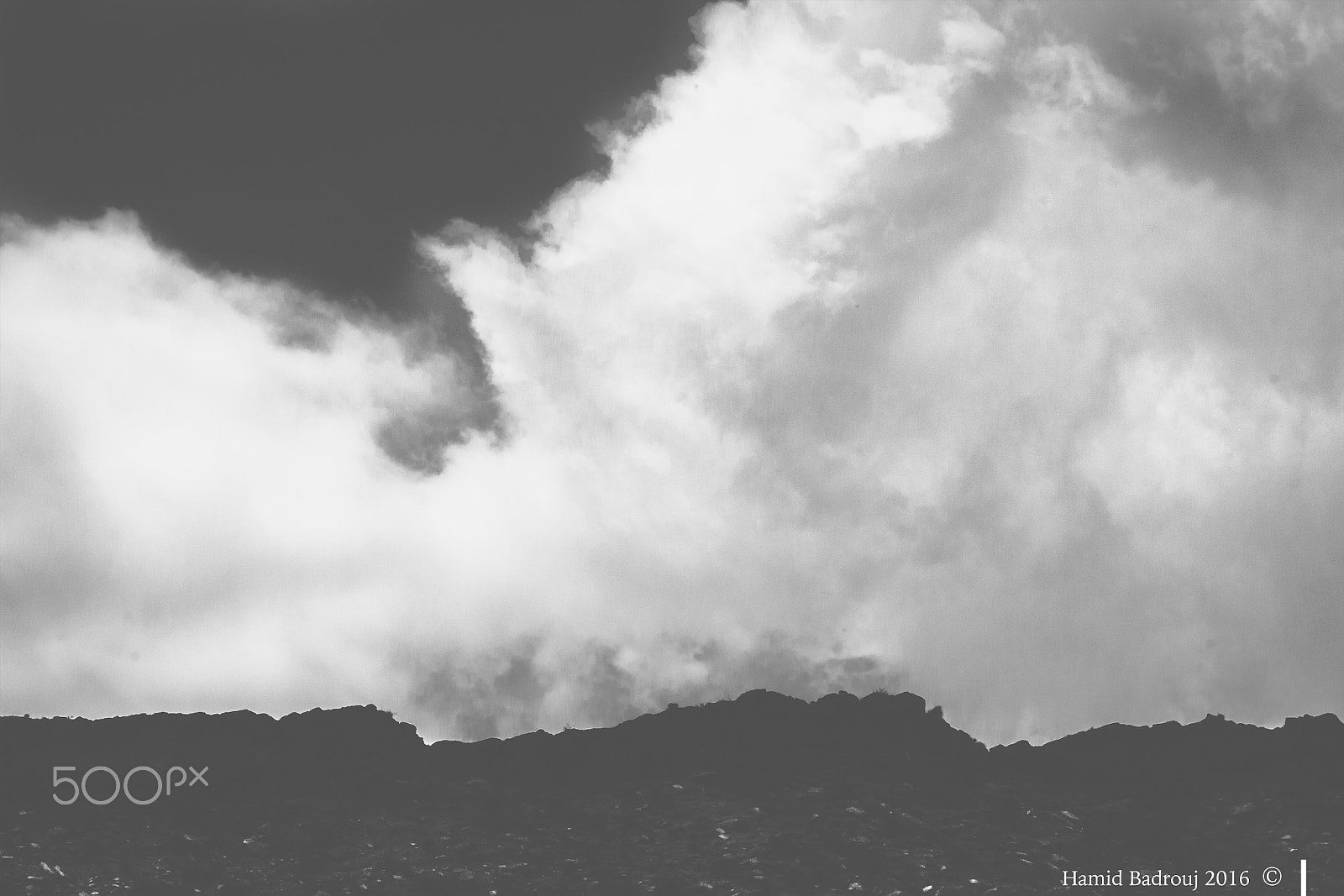 Canon EF 70-200mm F2.8L IS II USM sample photo. A requiem for the loneliness of a tree 3 photography