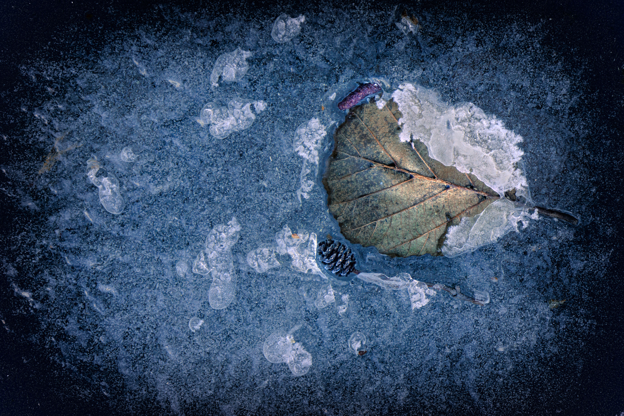 Sony Alpha NEX-7 + Sony E 18-55mm F3.5-5.6 OSS sample photo. Icy abstract photography