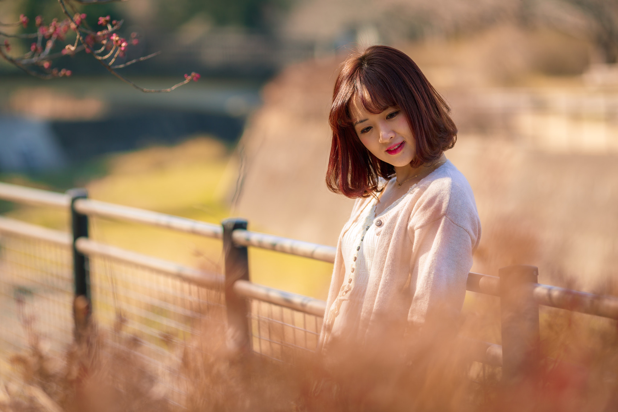 Canon EOS 6D + Canon EF 135mm F2L USM sample photo. #12 photography