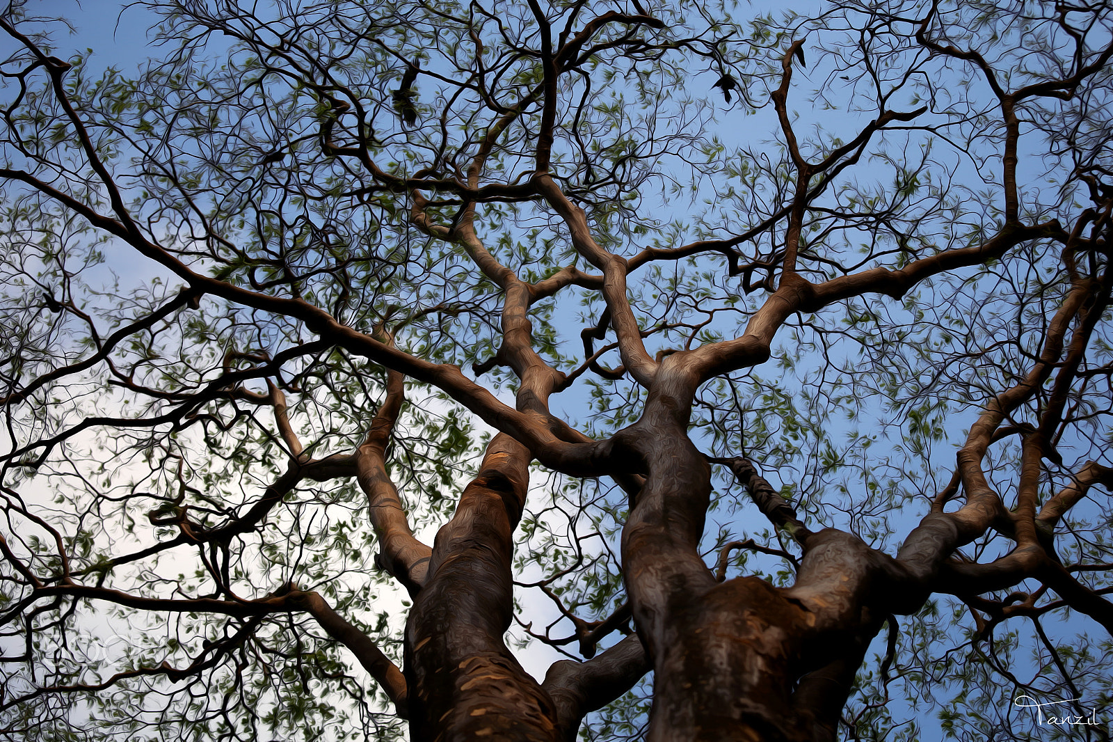 Canon EF 70-200mm F2.8L USM sample photo. Img photography