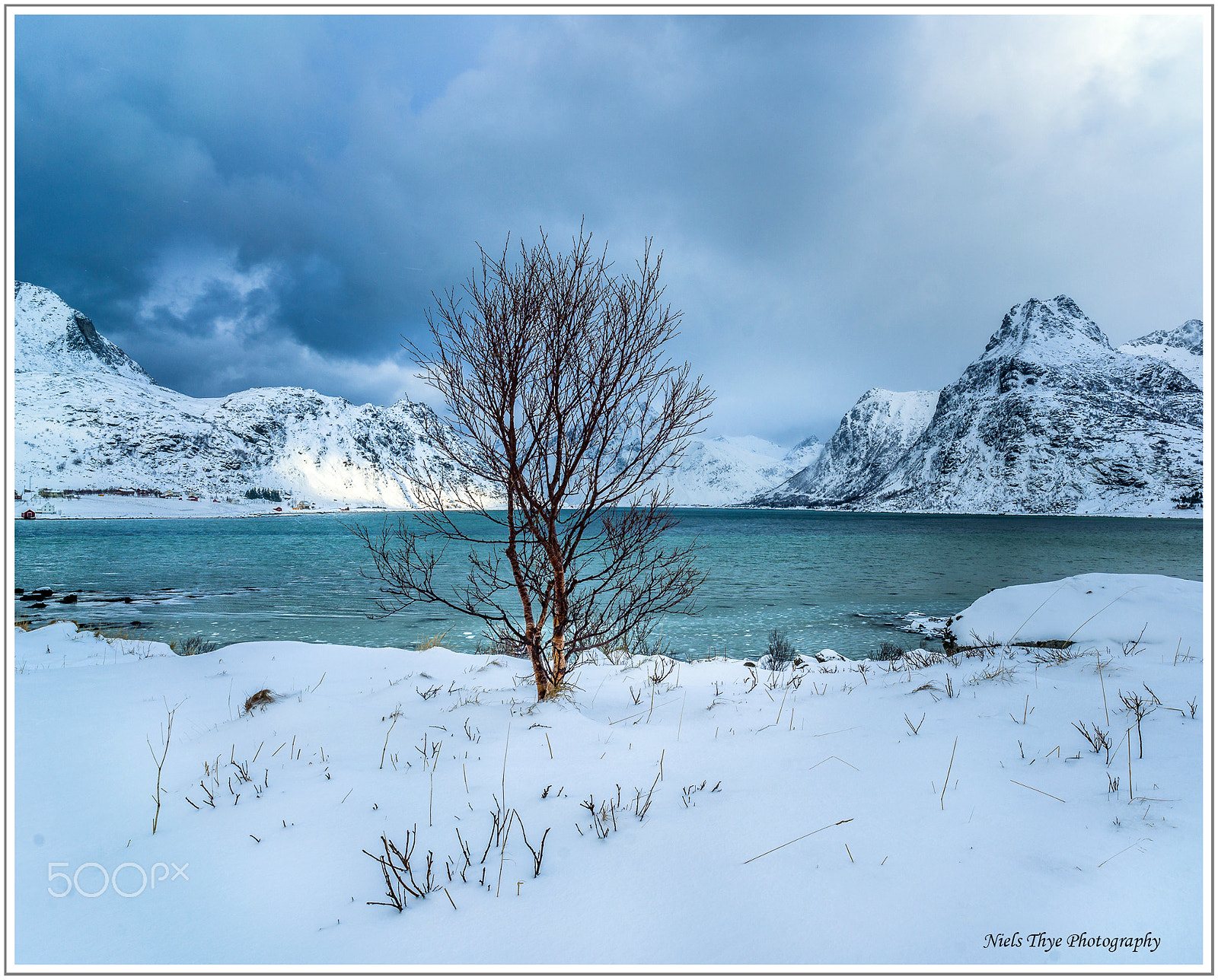 Sony a7R II sample photo. Lonely tree photography