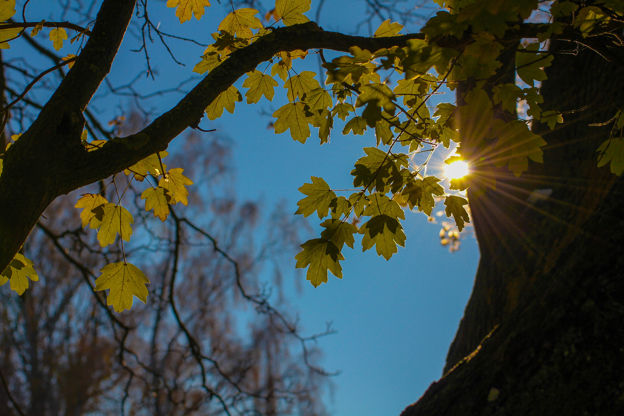 Canon EOS 60D sample photo. Spring time photography