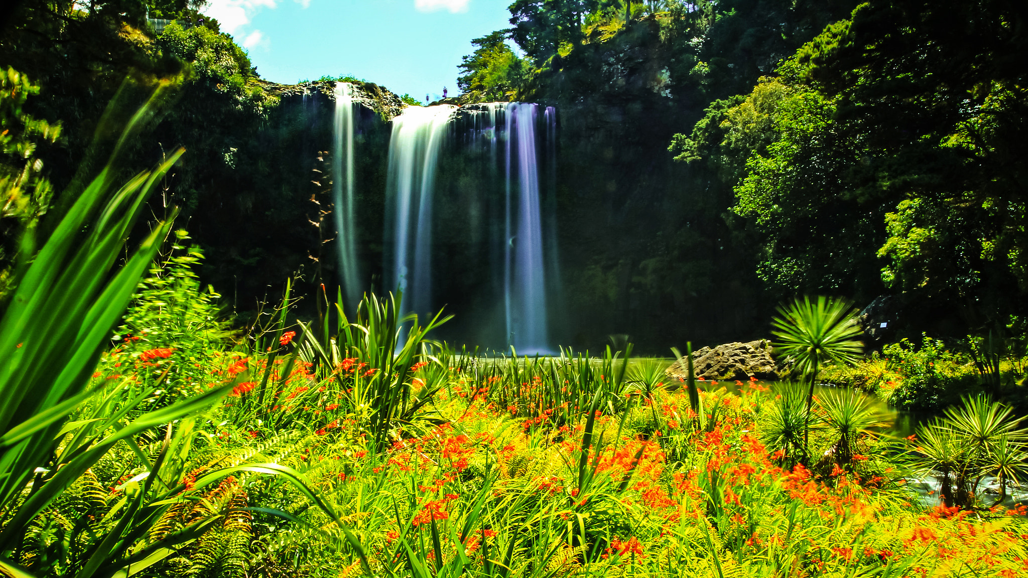 Tamron SP AF 17-50mm F2.8 XR Di II LD Aspherical (IF) sample photo. Whangarei falls nz photography