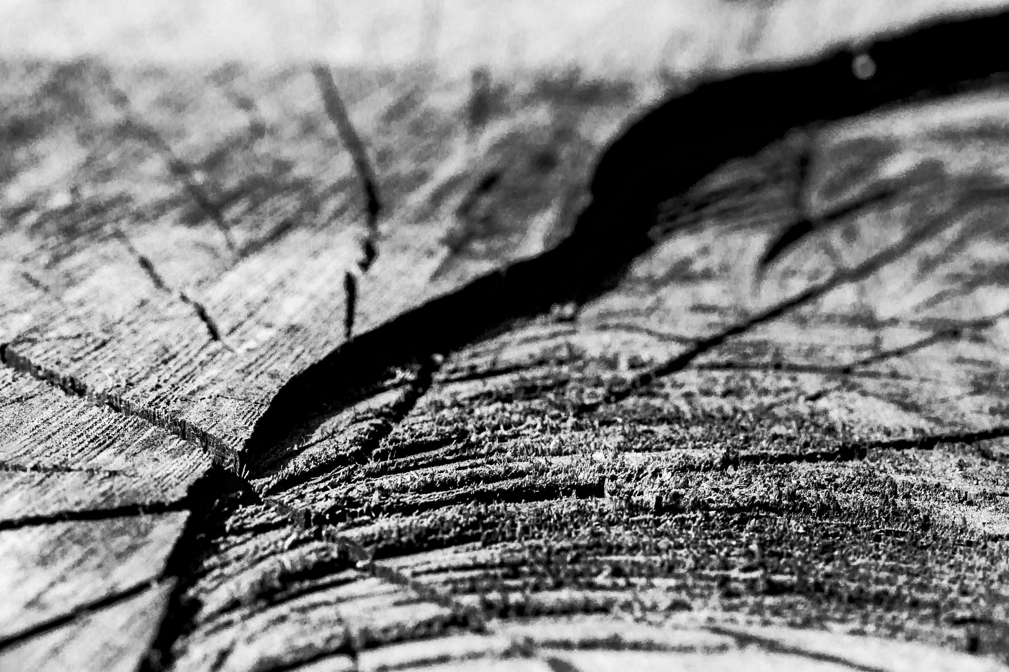 Canon EF 100mm F2.8L Macro IS USM sample photo. The wall photography