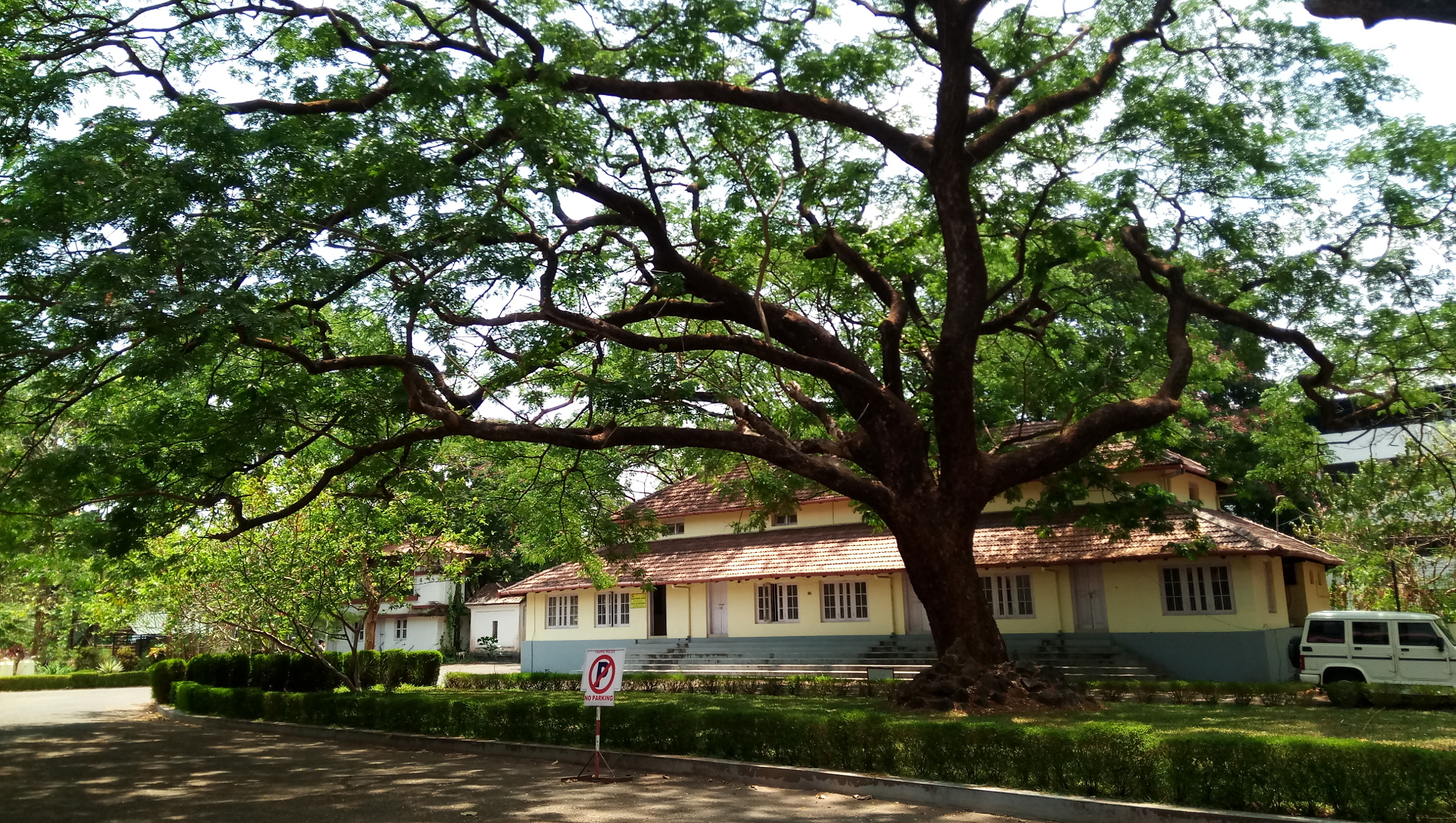 ASUS ZenFone 3s Max (ZC521TL) sample photo. Ramanilayam,thrissur,kerala,india photography