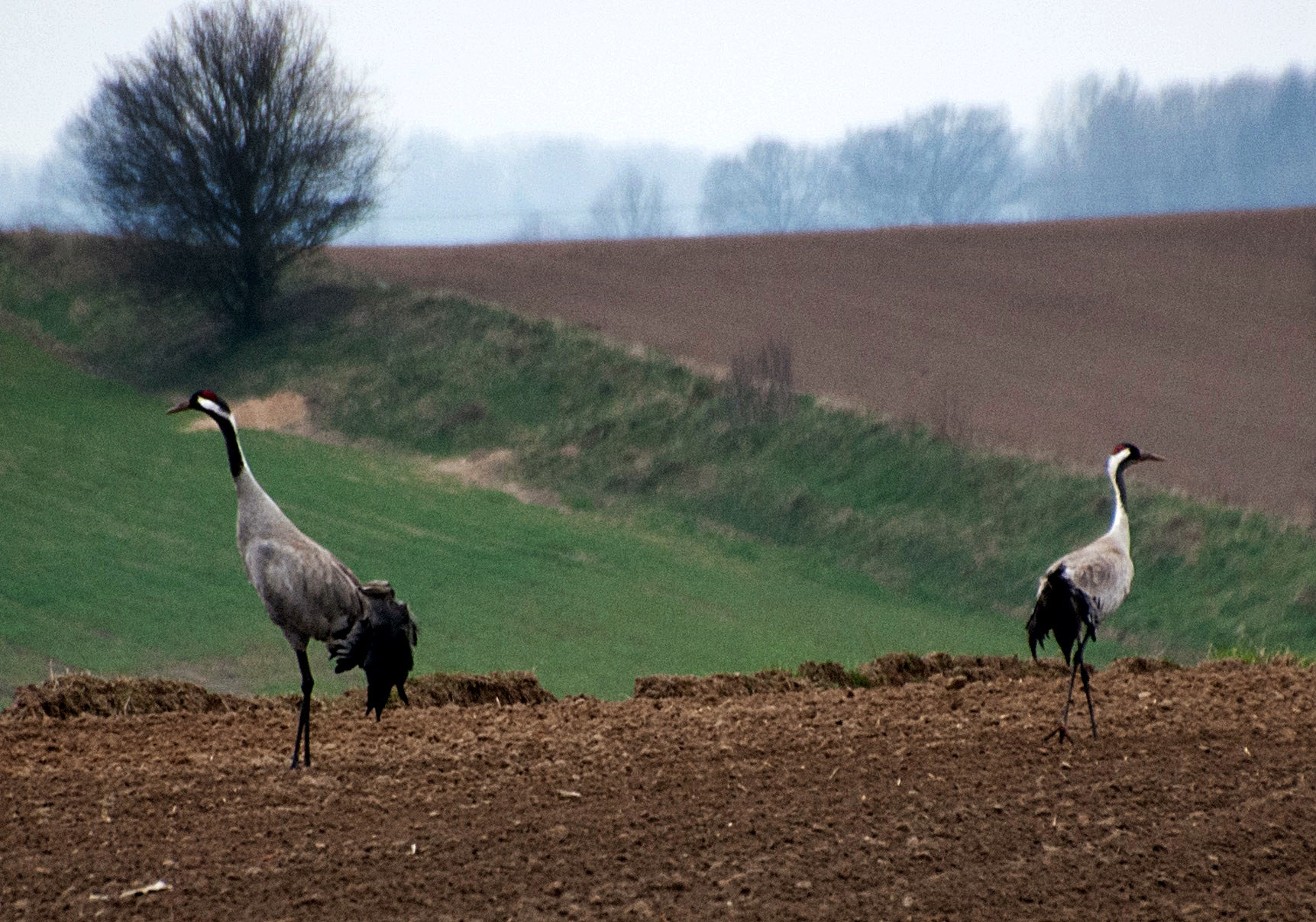 Sony Alpha DSLR-A300 sample photo. Spotkanie w drodze 2 photography