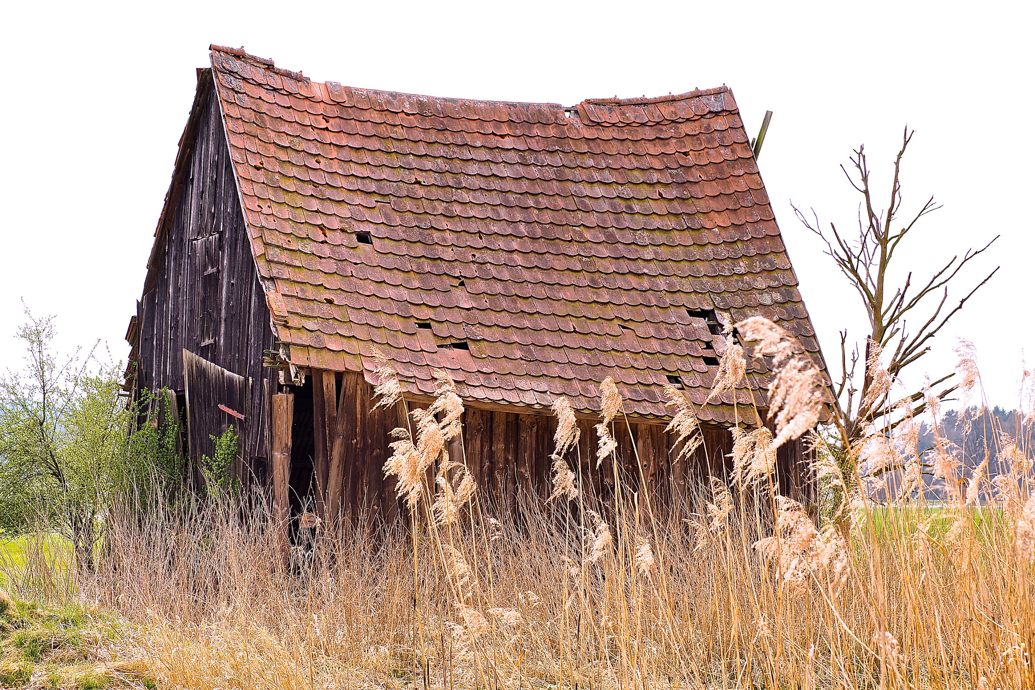 Olympus OM-D E-M5 II sample photo. Rustic bavaria barn photography