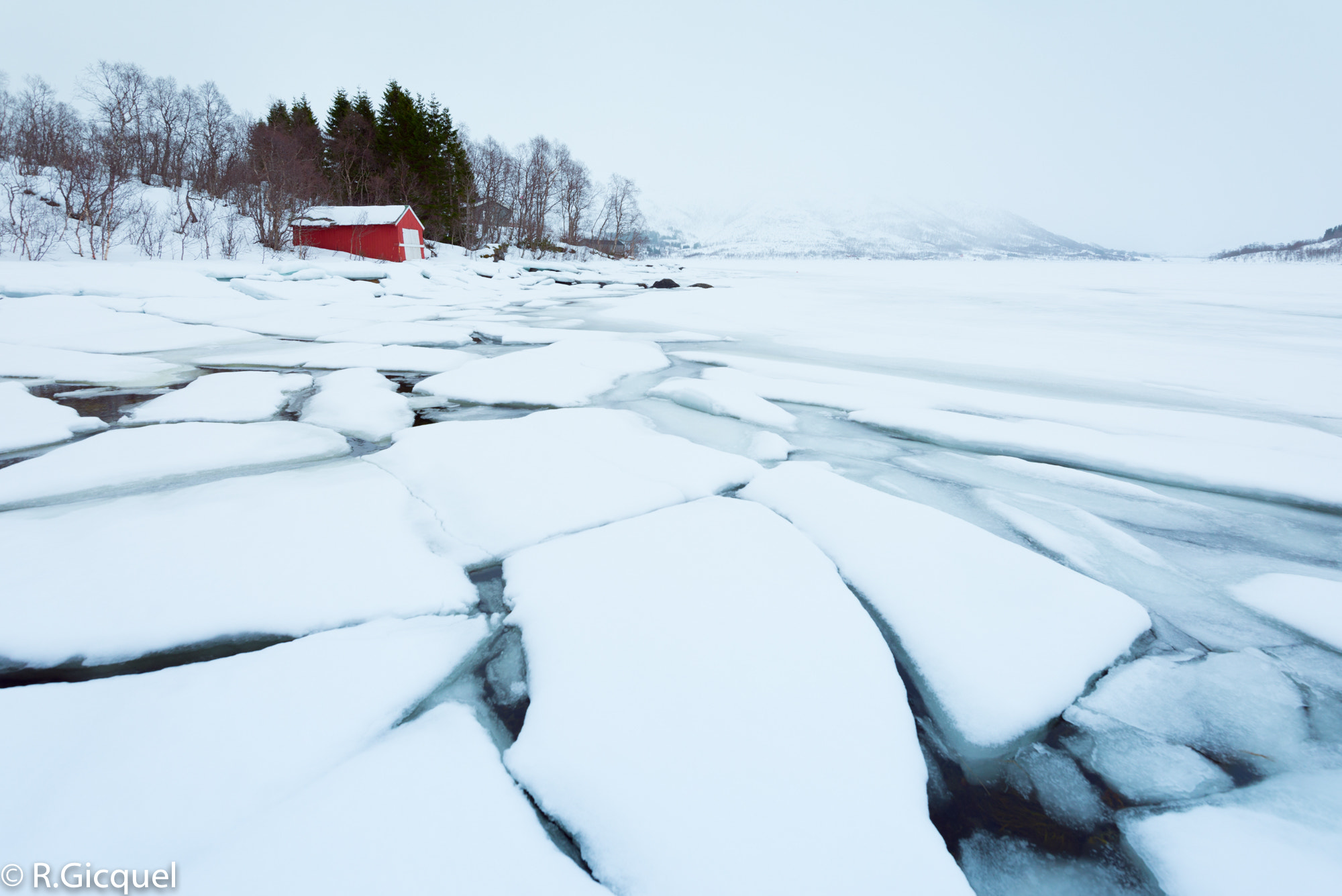 Nikon D800 sample photo. Winter lofoten photography