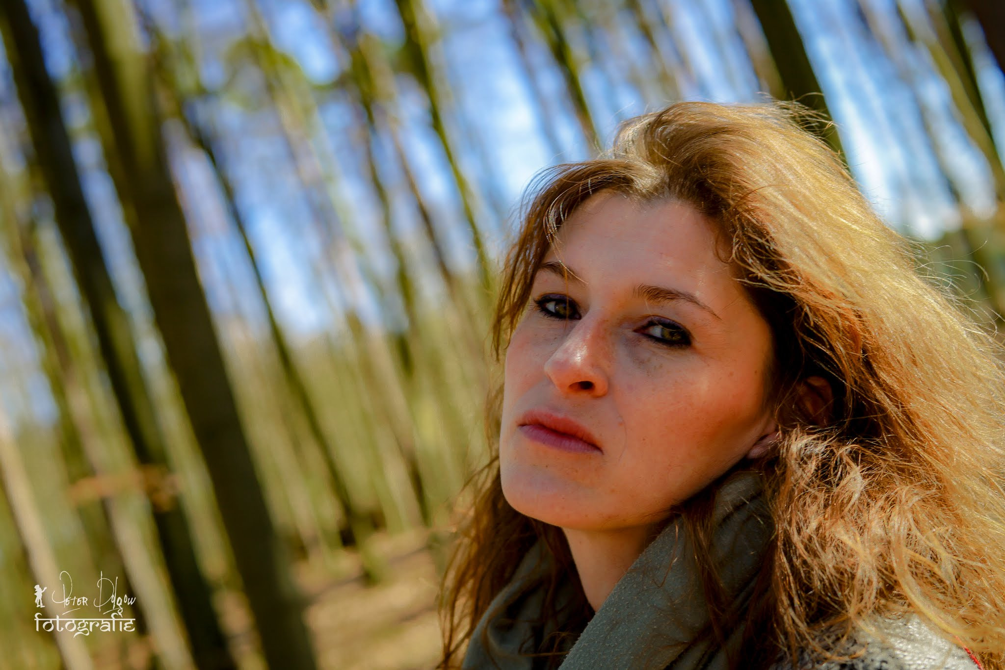 Sony a99 II + Minolta AF 50mm F1.4 [New] sample photo. Frühling im wald  photography