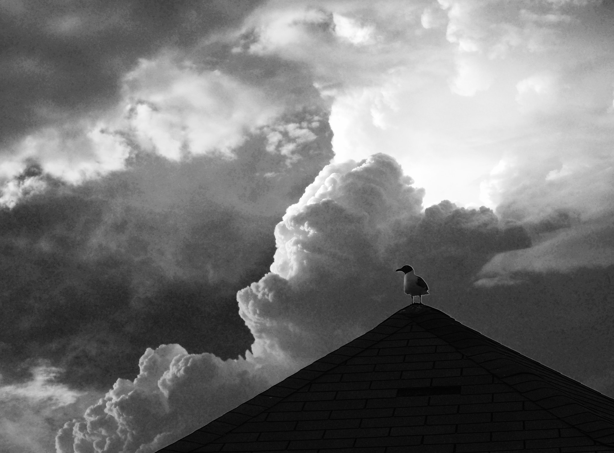 Olympus PEN E-PL6 sample photo. Perched close to heaven photography