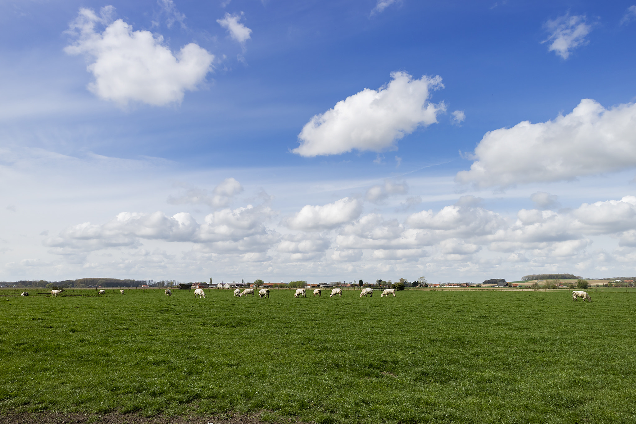 Canon EOS M3 sample photo. Spring landscape photography