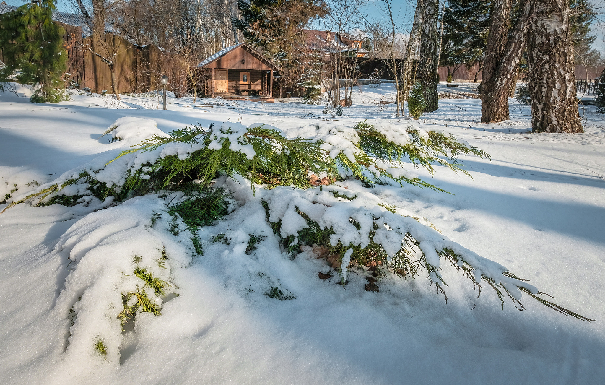 Fujifilm X-T20 sample photo. 1 апреля и природа пошутила ! photography