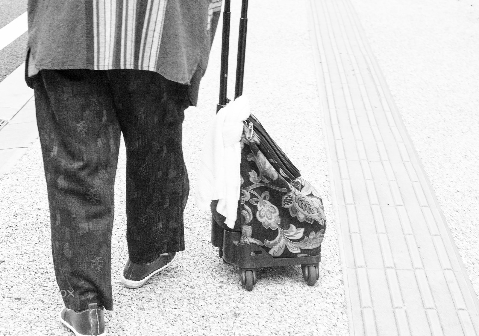 Canon EF-S 55-250mm F4-5.6 IS sample photo. Bag photography