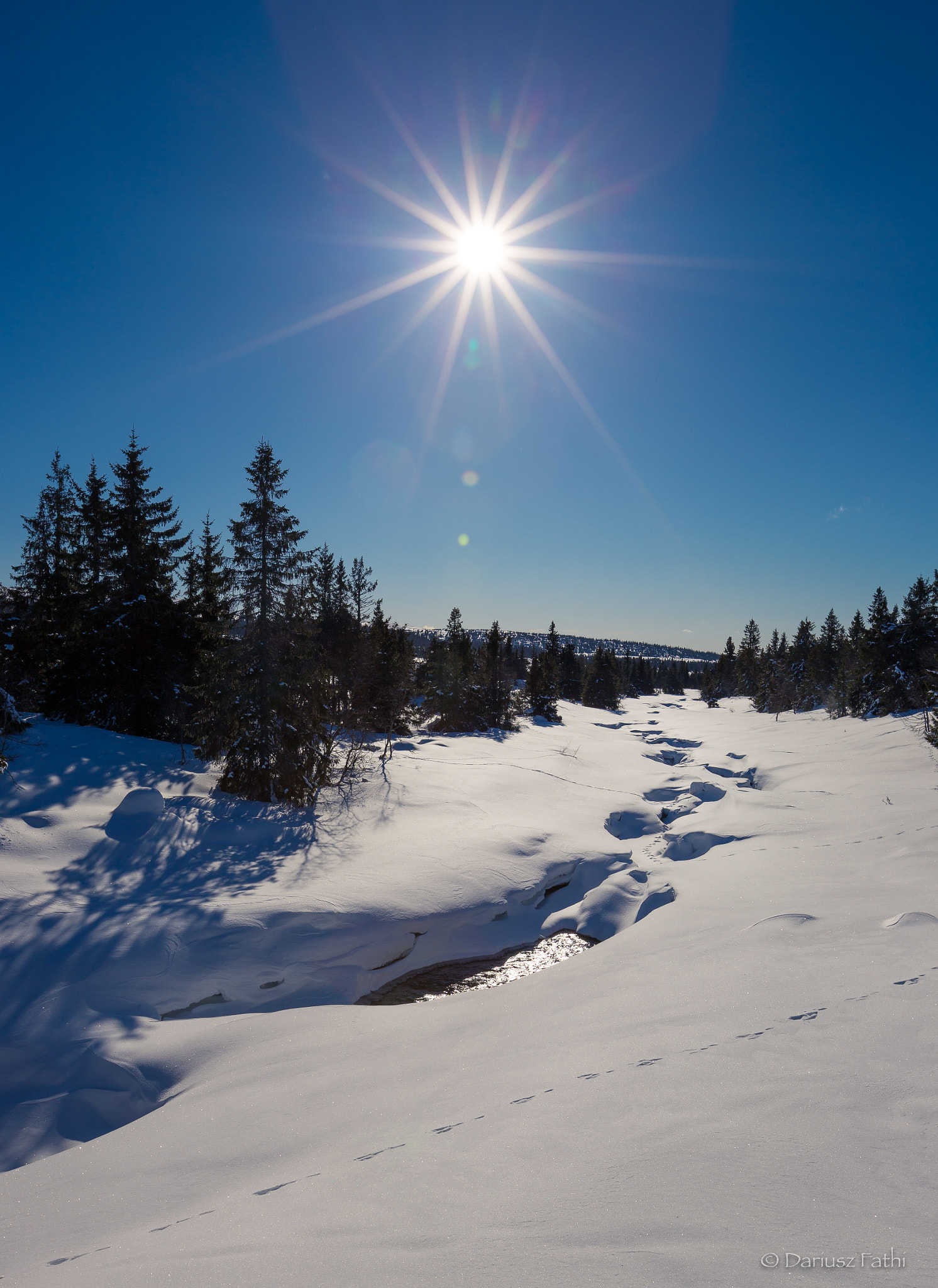 Canon EF 16-35mm F2.8L II USM sample photo. Winter wonderland ii photography