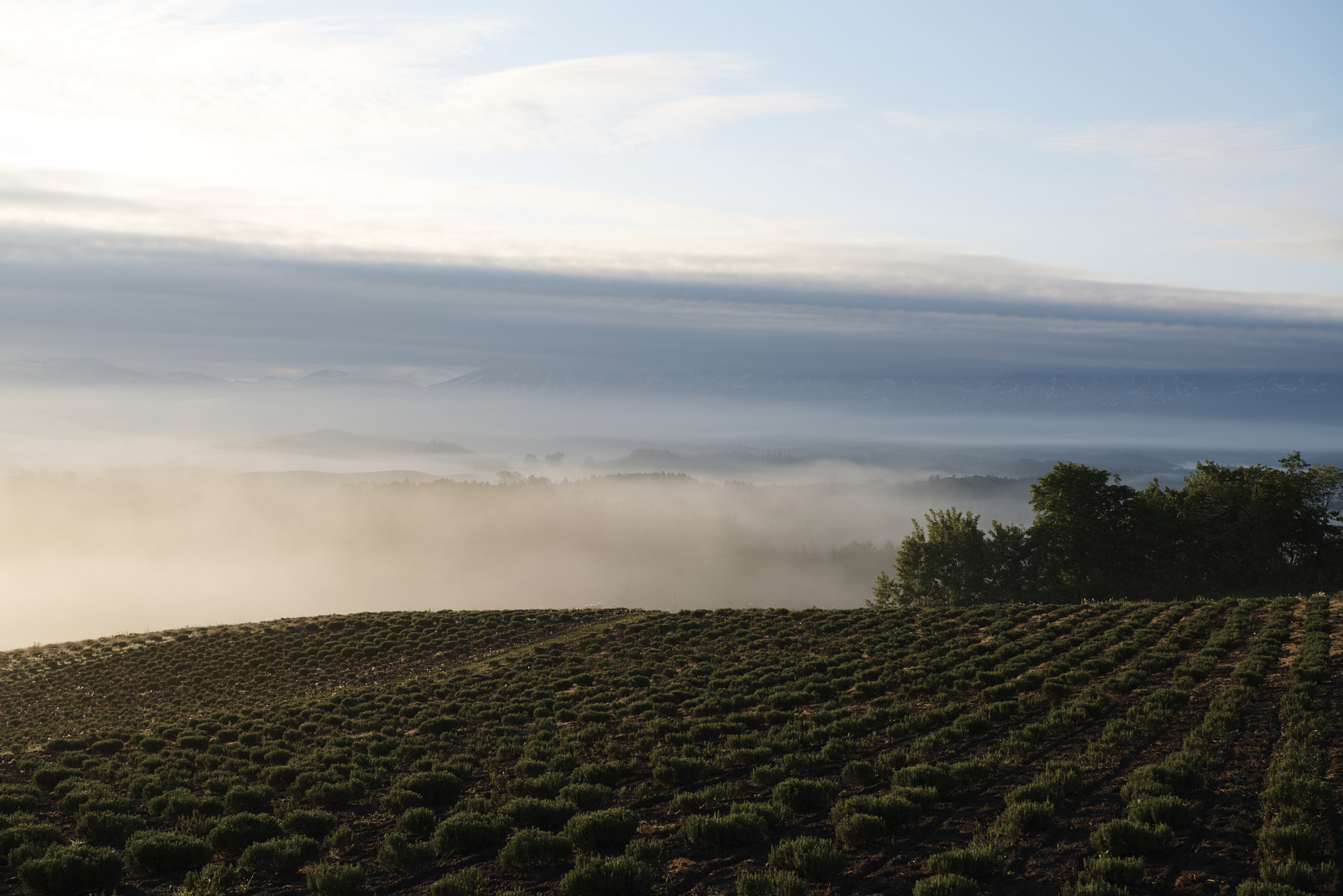 Nikon D810 sample photo. Hokkaido photography