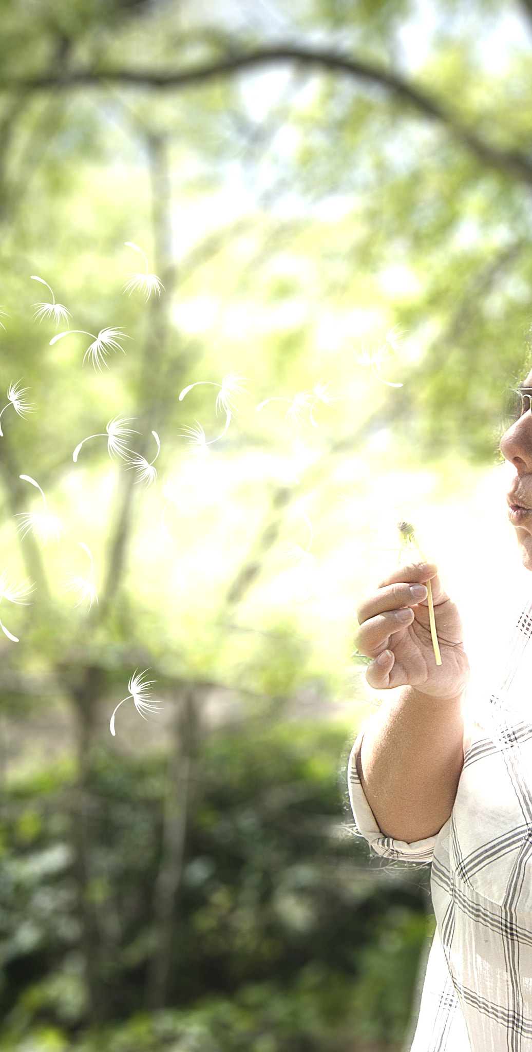 Sony Alpha DSLR-A230 + Sony DT 18-55mm F3.5-5.6 SAM sample photo. Dandalee photography