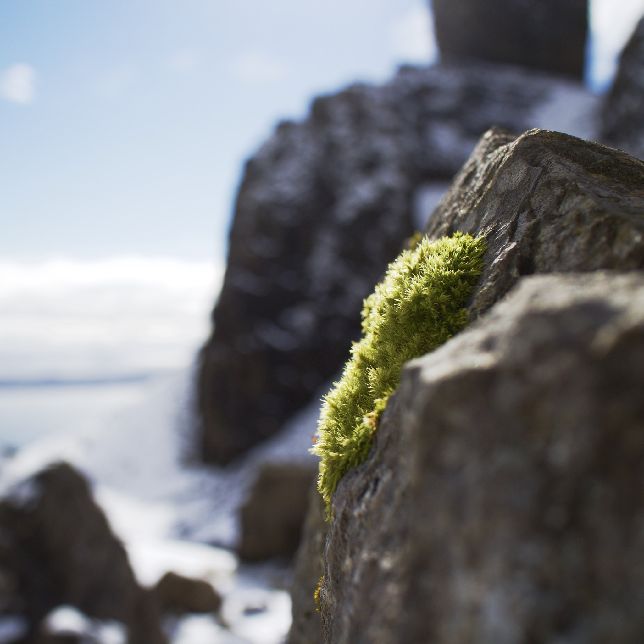 Canon EOS M sample photo. Old man of storr photography