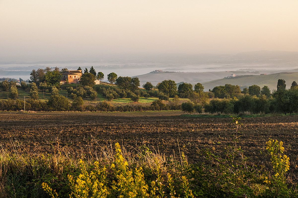Nikon D300S sample photo. Autumn in tuscany photography