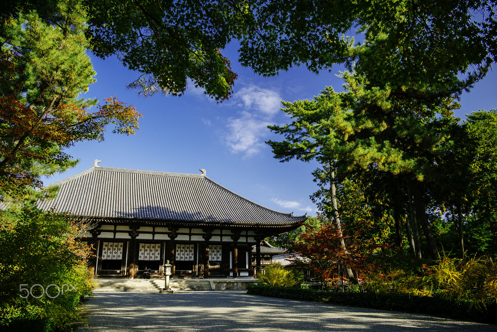 Leica M (Typ 240) + Summilux-M 1:1.4/28 ASPH. sample photo. 唐招提寺金堂 toshodaiji temple of nara photography