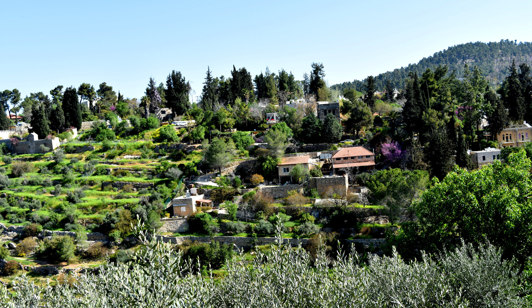 Nikon D3400 sample photo. Ein karem terrace photography
