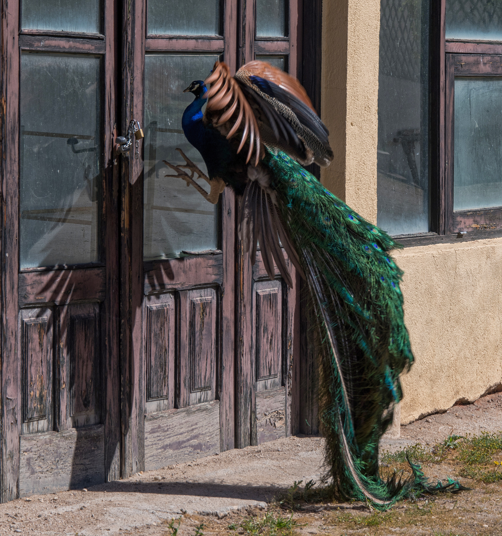 Nikon D500 sample photo. "alunicero real" photography