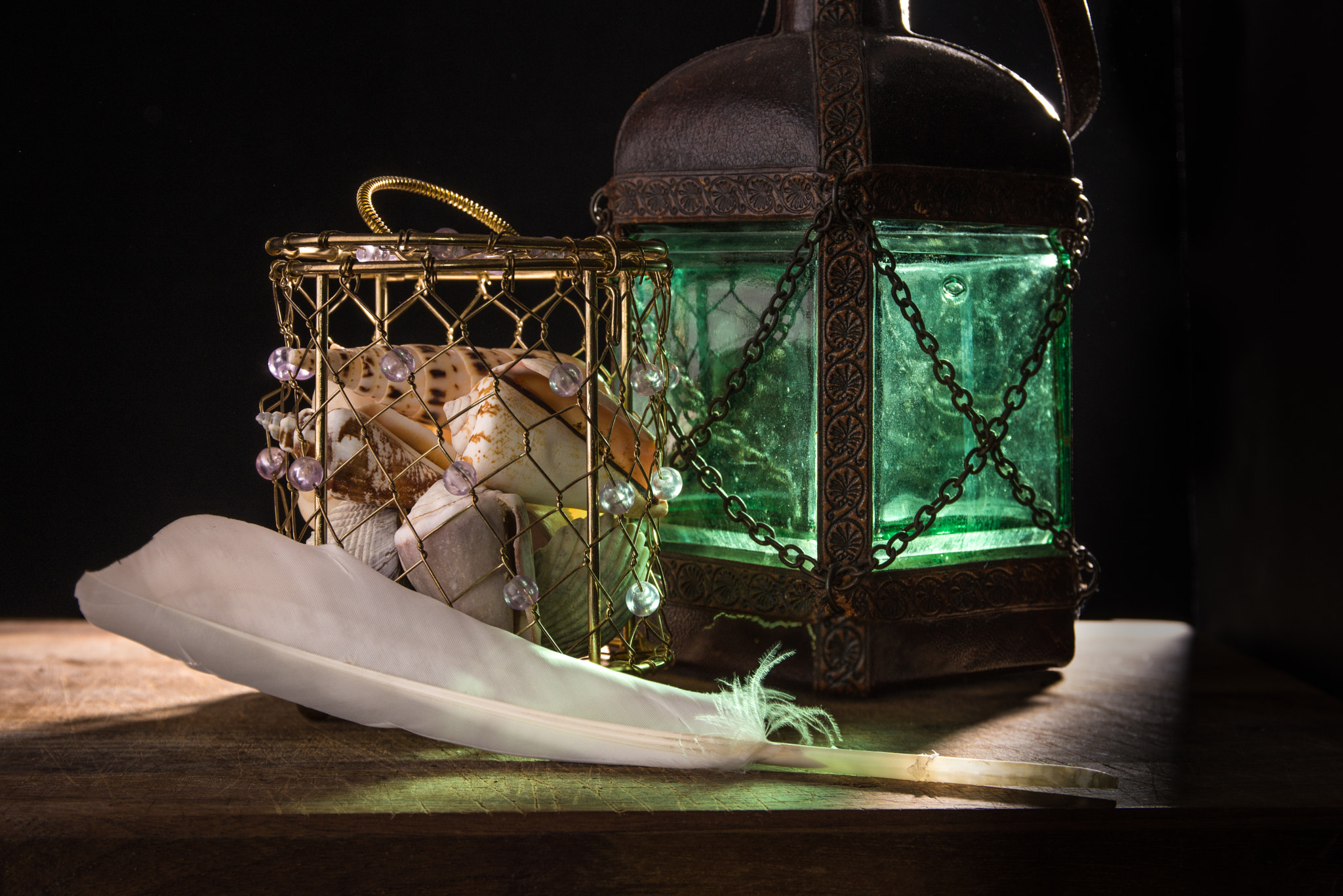 Sigma 17-70mm F2.8-4 DC Macro OS HSM | C sample photo. The feather photography