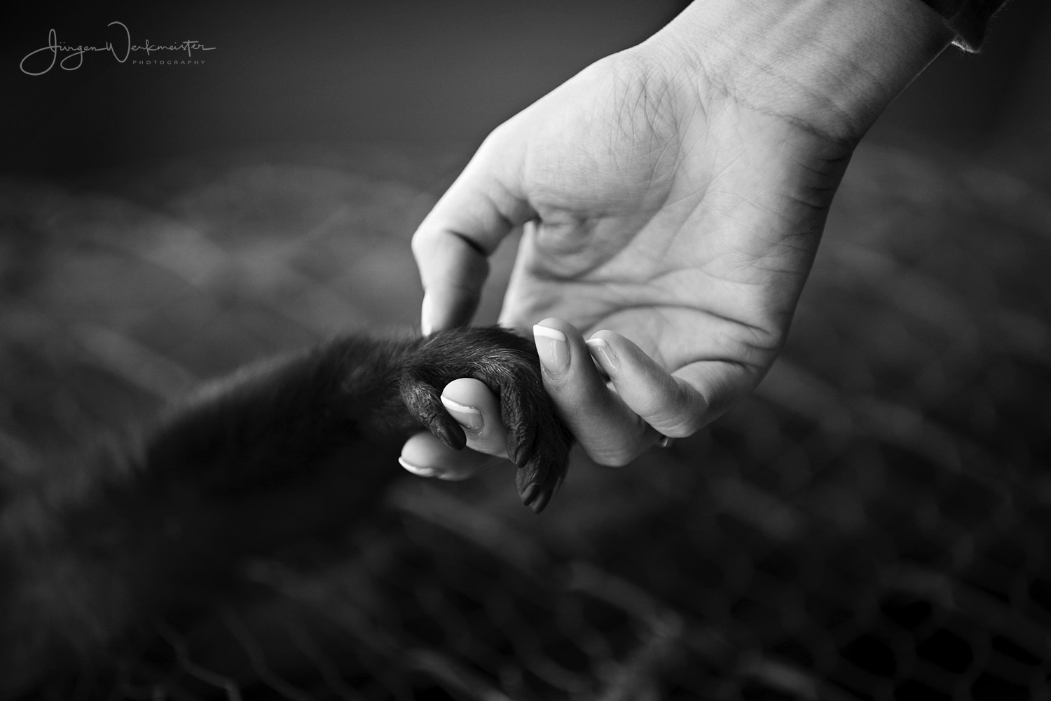 Canon EF 70-200mm F2.8L IS USM sample photo. Hands photography