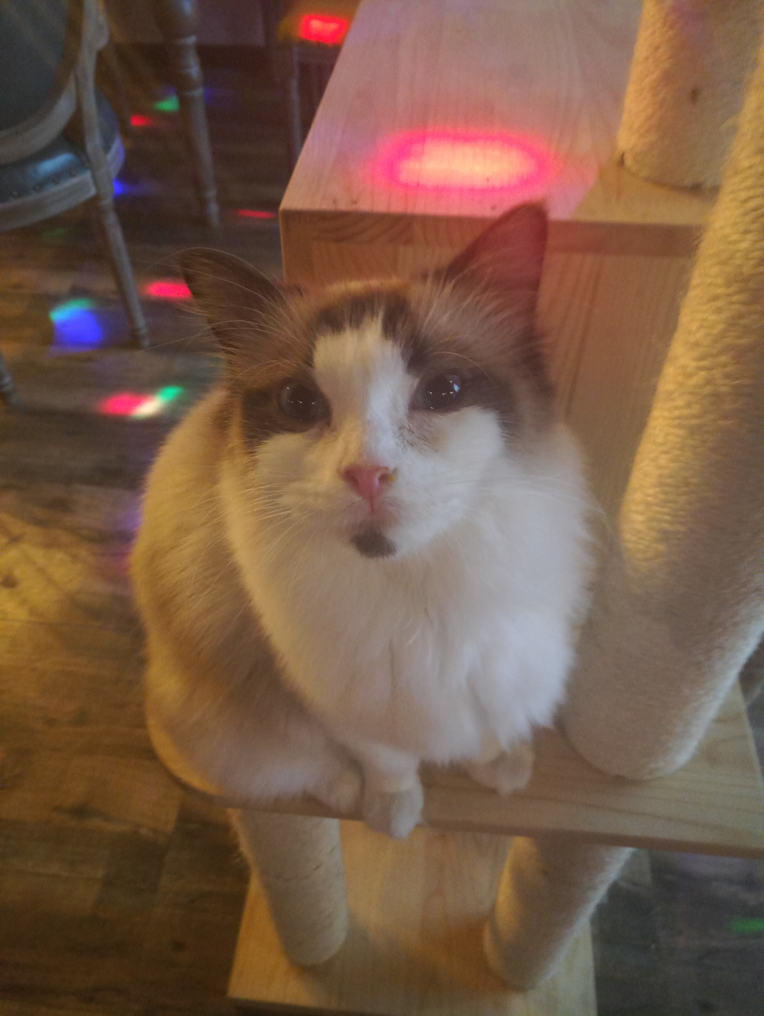 Meizu PRO 6s sample photo