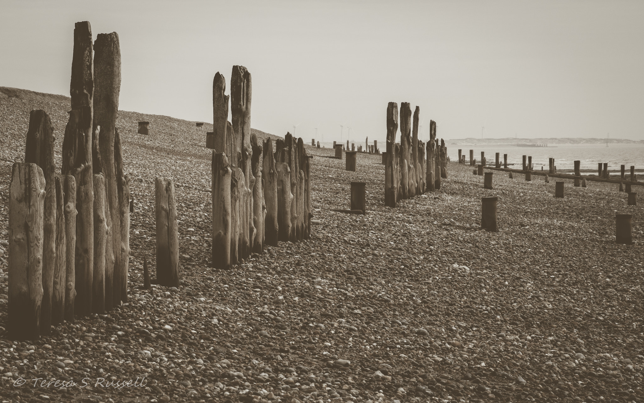 Canon EOS 760D (EOS Rebel T6s / EOS 8000D) sample photo. A few old groynes photography