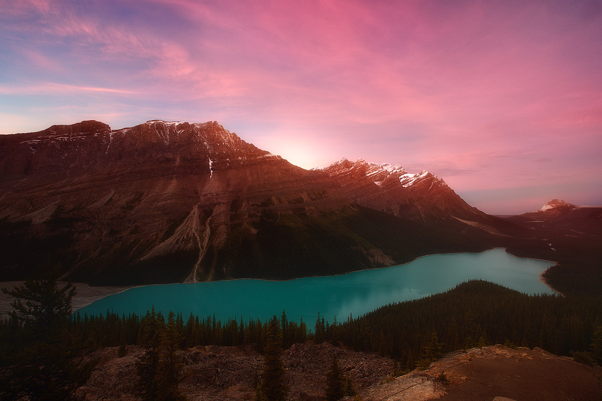 Canon EOS 5D + Canon EF 17-40mm F4L USM sample photo. Peyto lake photography
