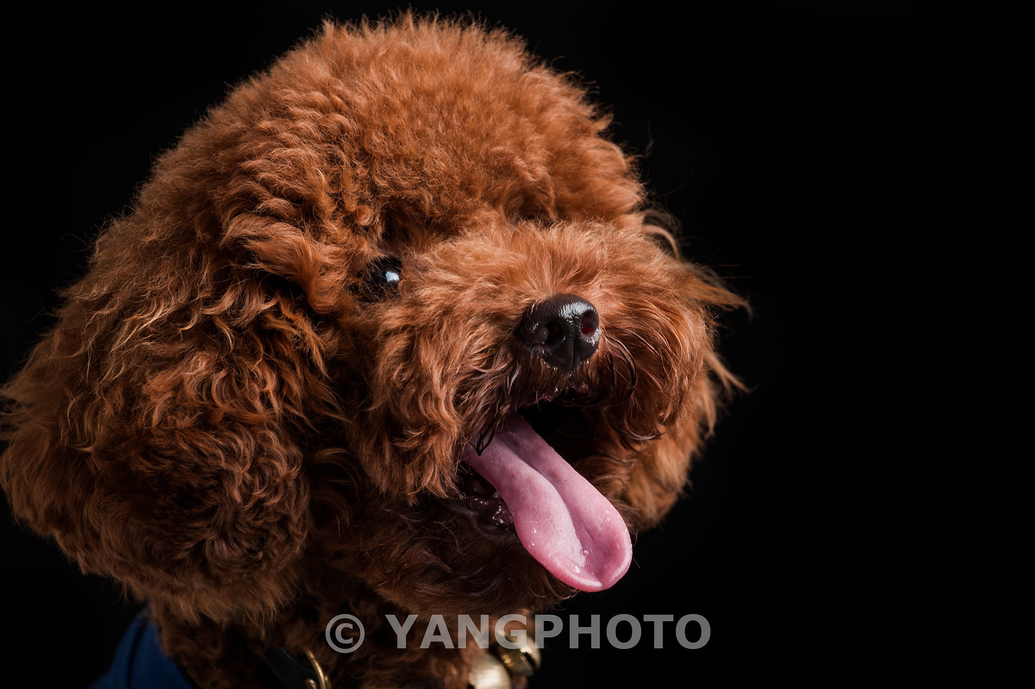 Nikon AF-S Nikkor 70-200mm F4G ED VR sample photo