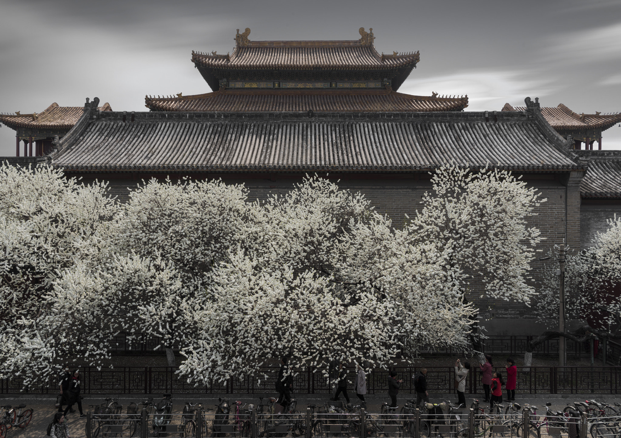 Nikon D810 sample photo. Tibetan buddhism temple in beijing photography