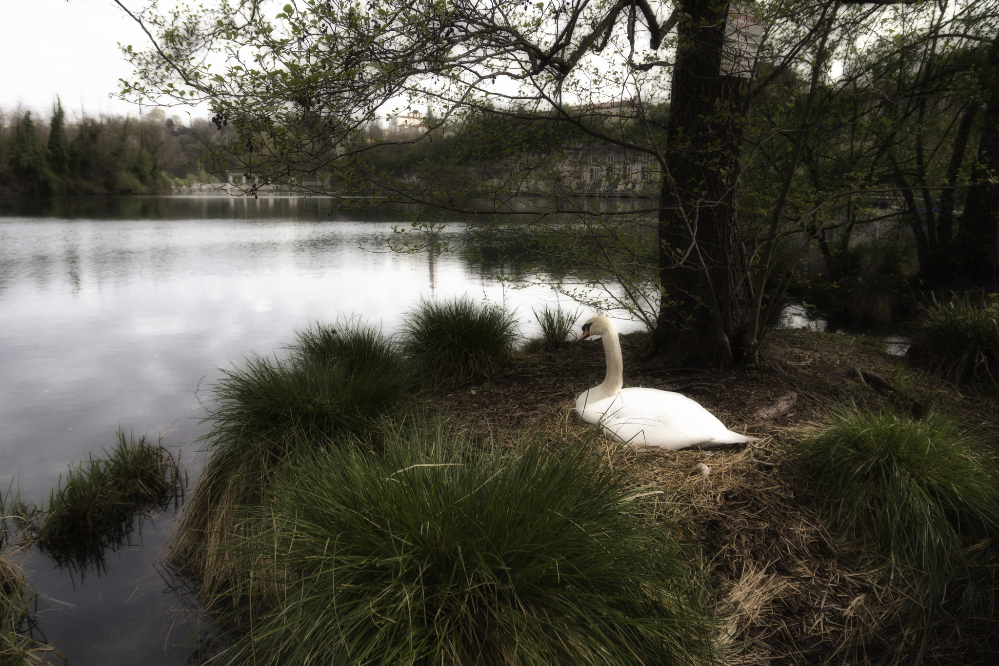 Nikon D7200 + Sigma 17-70mm F2.8-4 DC Macro OS HSM | C sample photo. The guardian on the river photography