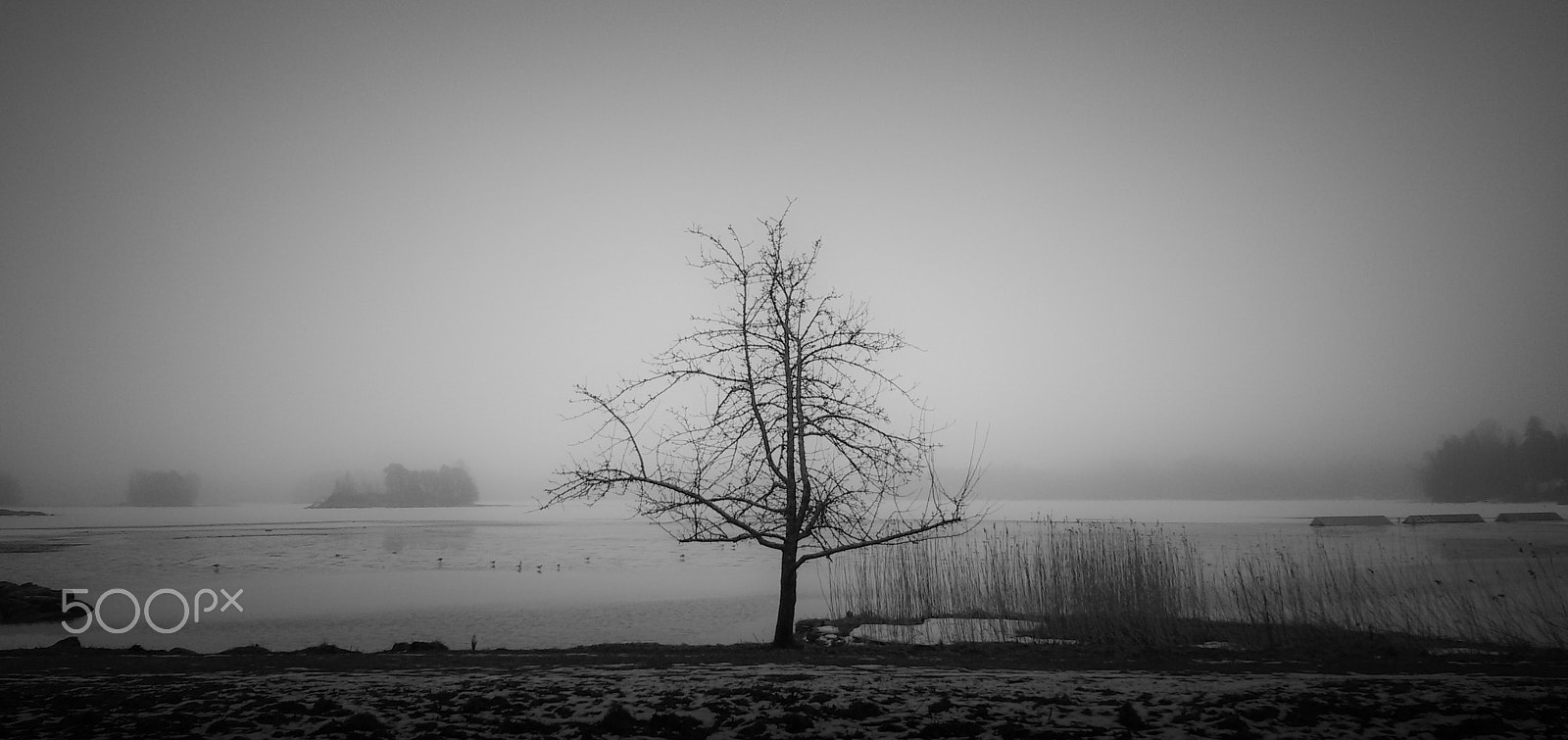Samsung Galaxy S3 Neo sample photo. Foggy day photography