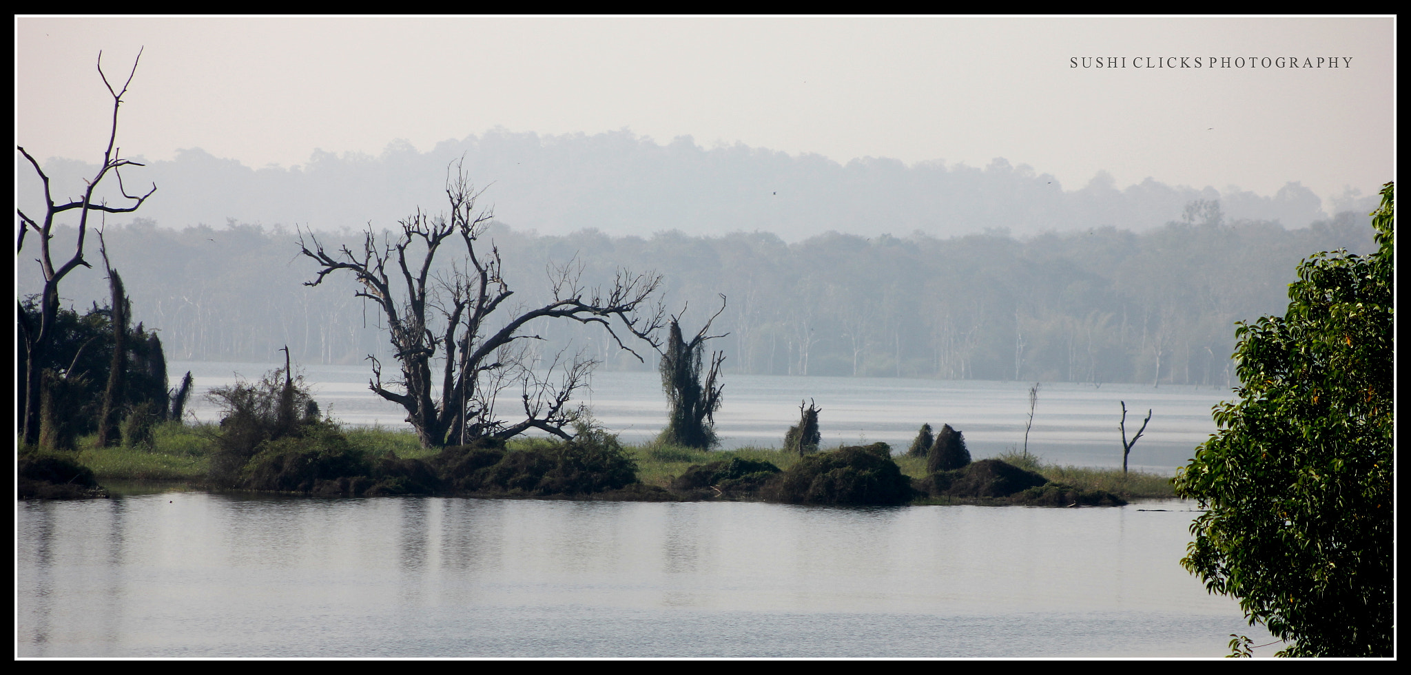 Canon EF 75-300mm f/4-5.6 USM sample photo. Sharavathi river  photography