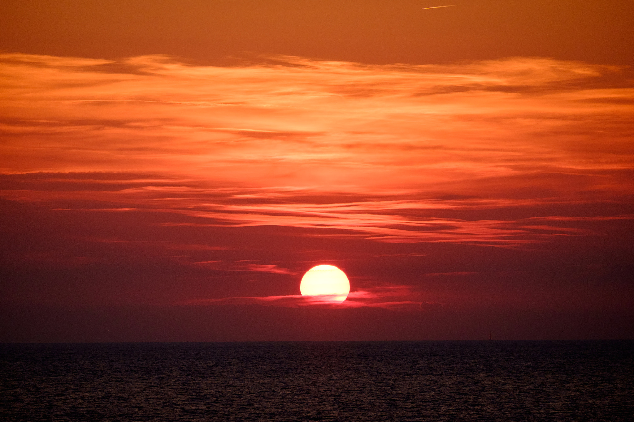 Fujifilm X-E2 + Fujifilm XF 55-200mm F3.5-4.8 R LM OIS sample photo. Red spotted photography