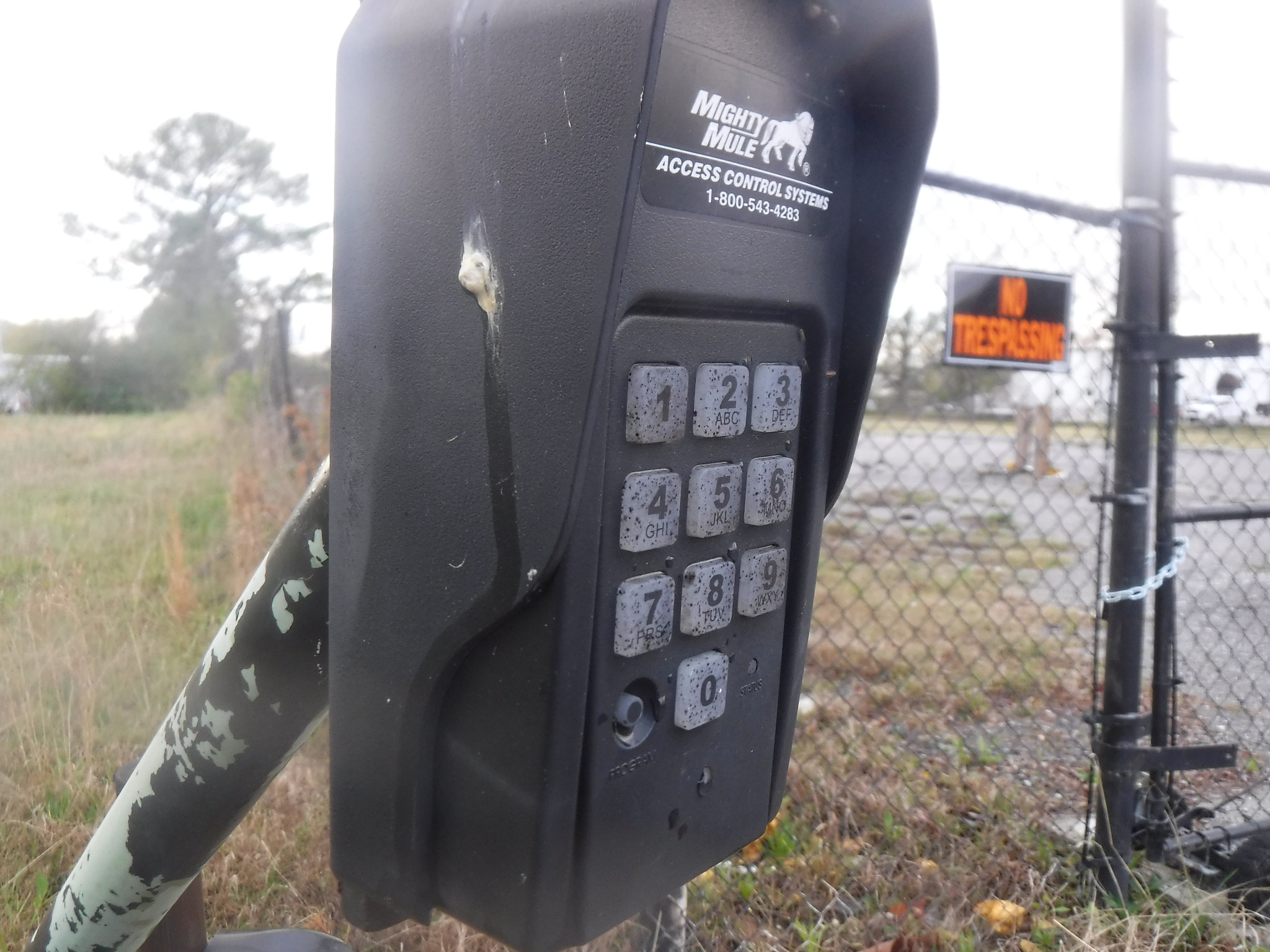 Fujifilm FinePix XP90 XP91 XP95 sample photo. [] photography