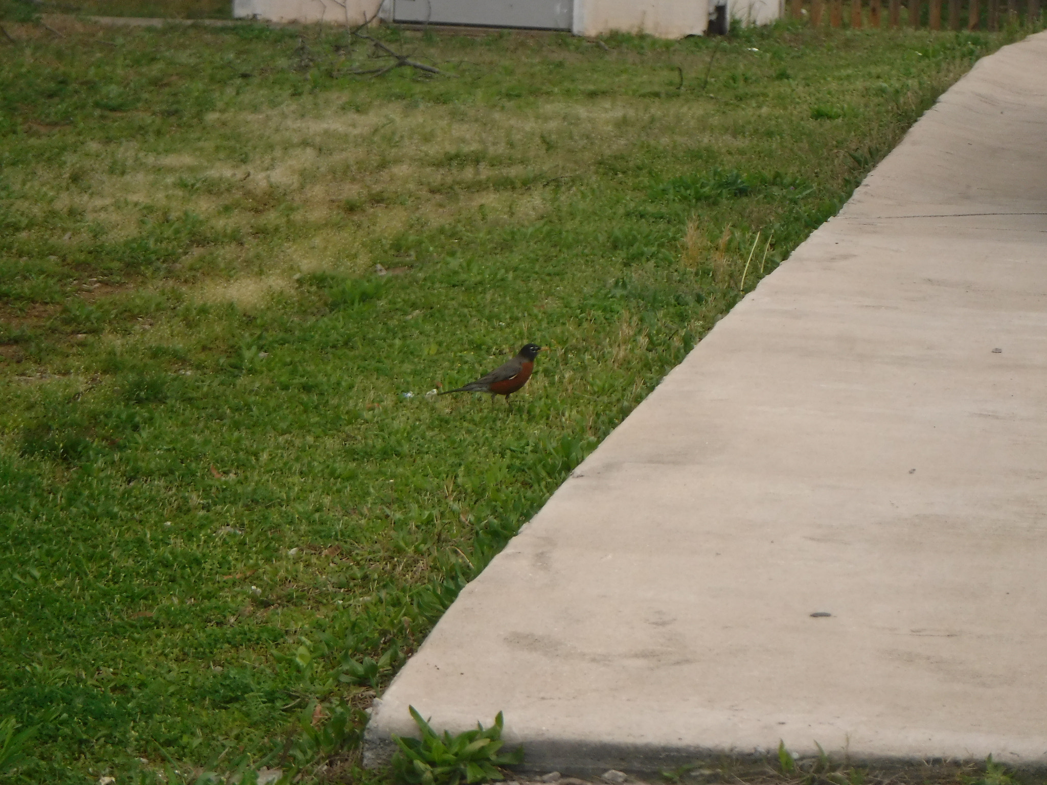Fujifilm FinePix XP90 XP91 XP95 sample photo. [] photography