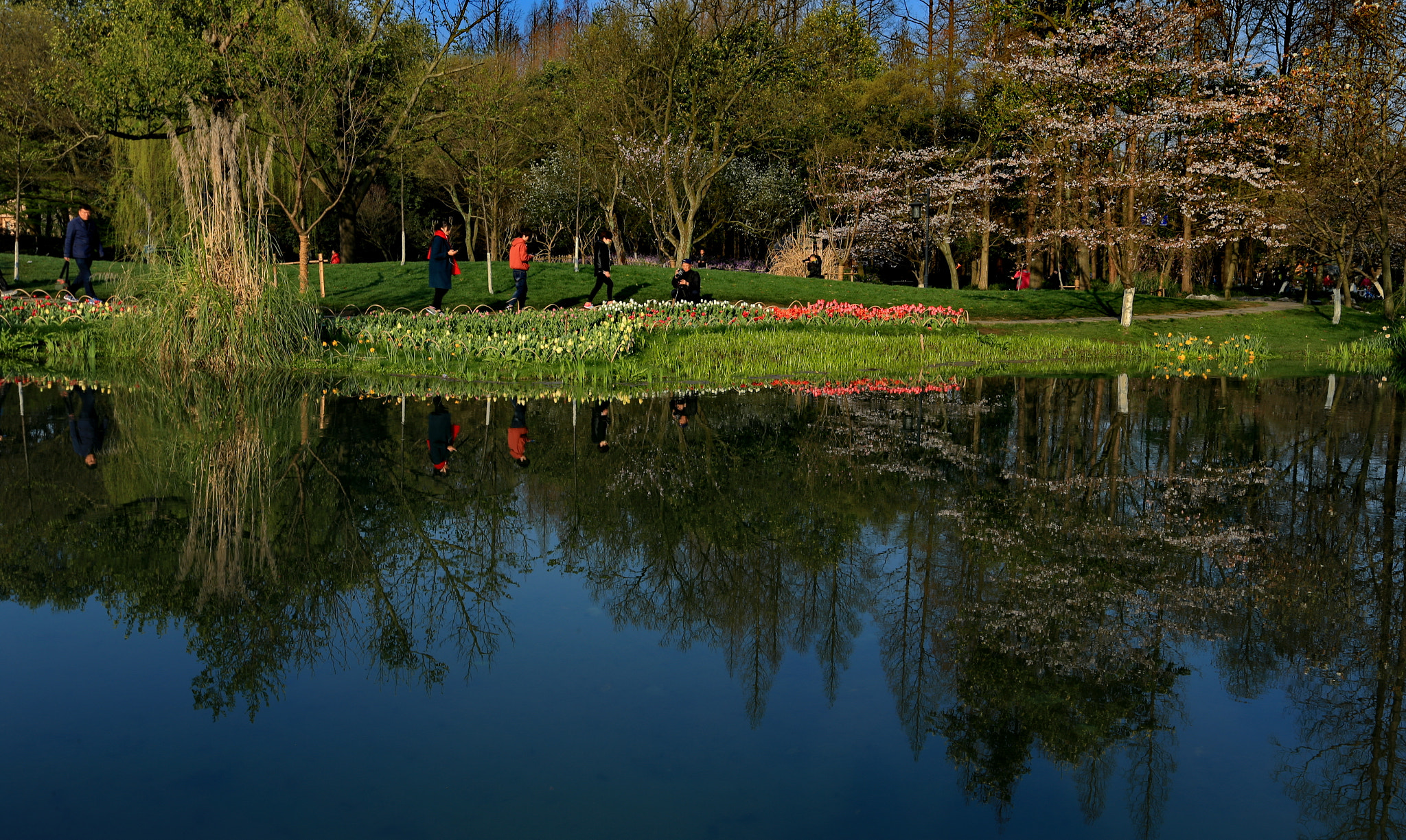Canon EF 16-35mm F2.8L II USM sample photo. River side photography