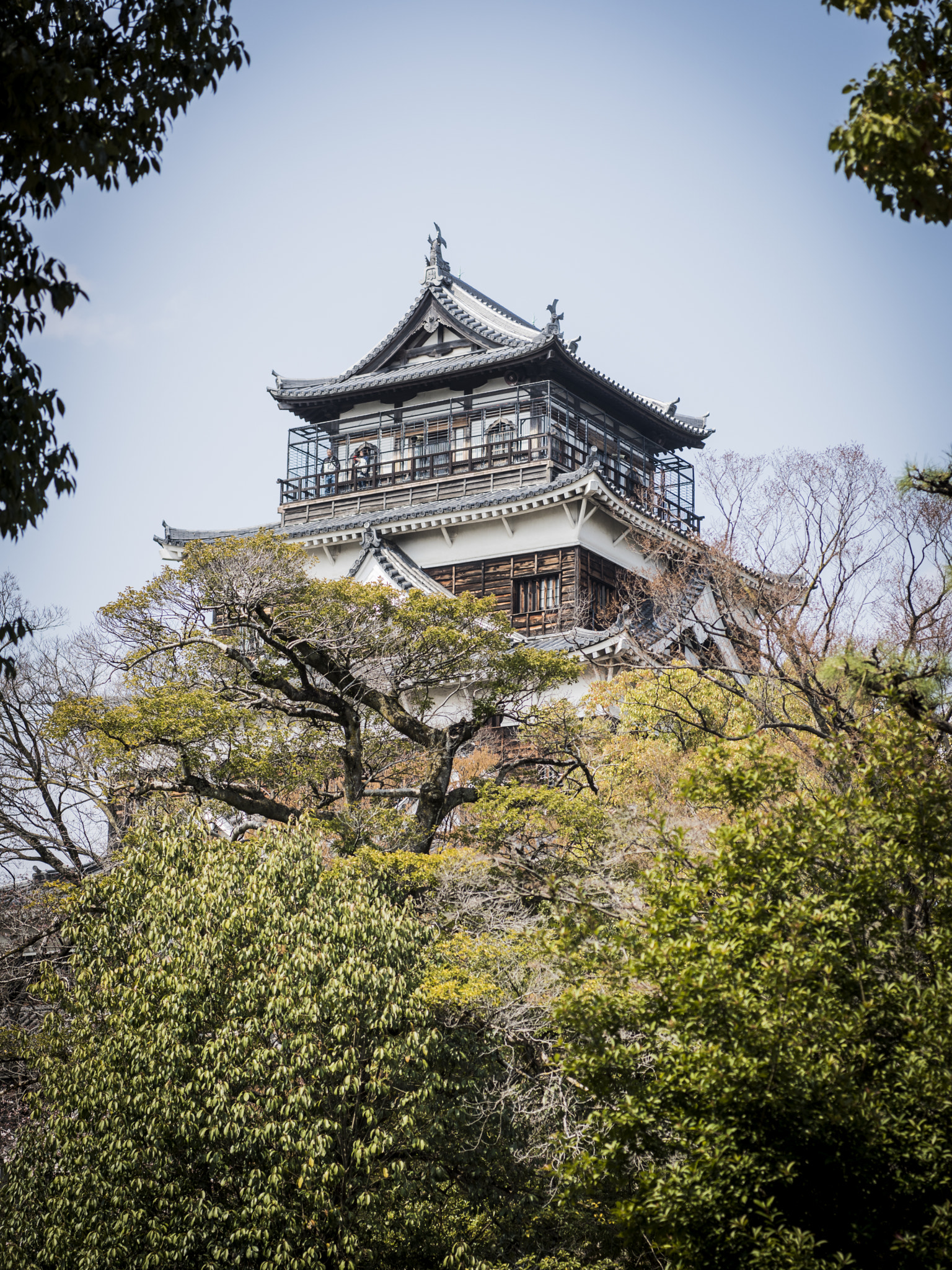 Nikon D810 sample photo. Castle of hiroshima photography