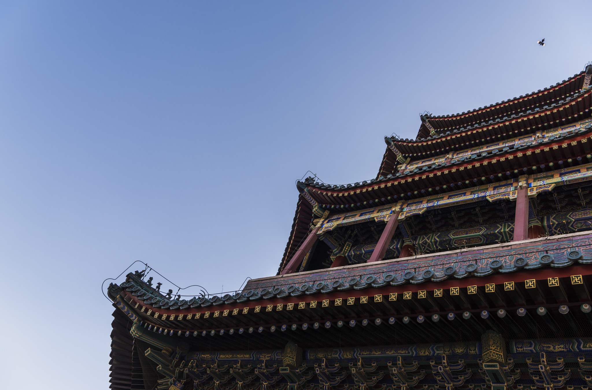 Nikon D810 sample photo. Summer palace photography